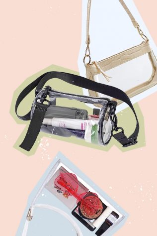 clear concert bags